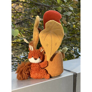 Plushf - Begonia cathayana Hemsl. plant plush